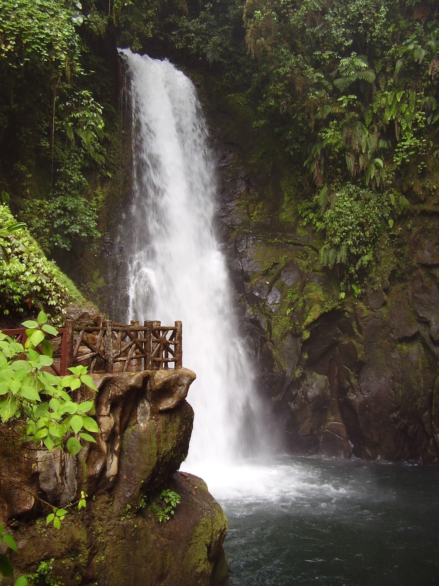 The living world of Costa Rica — 7