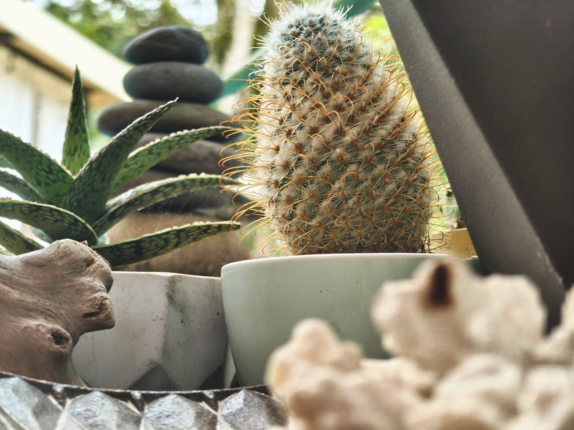Your home in Costa Rica — 8