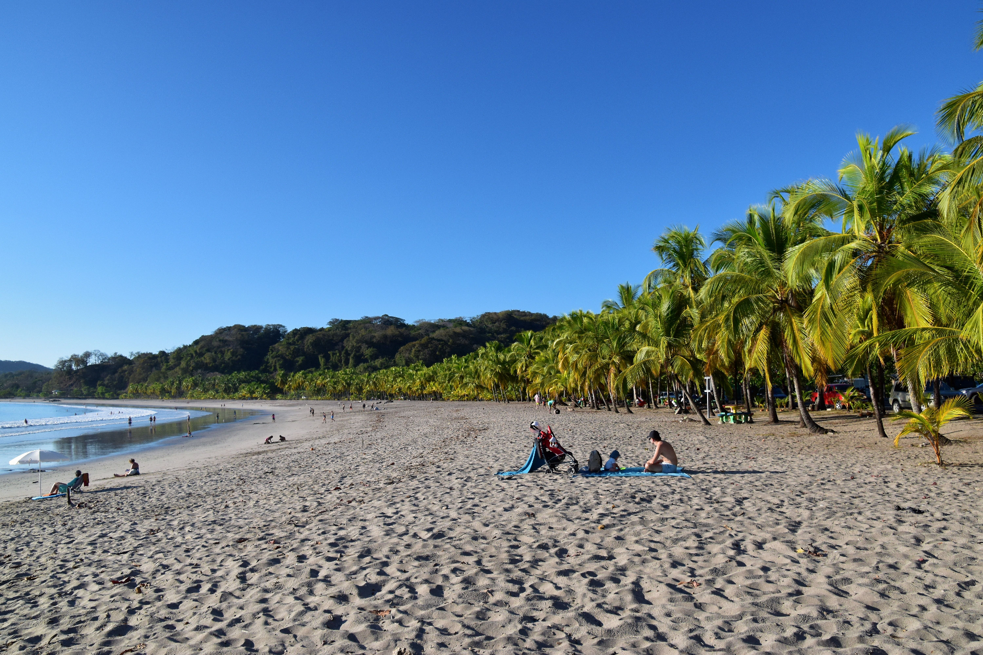 The living world of Costa Rica — 6