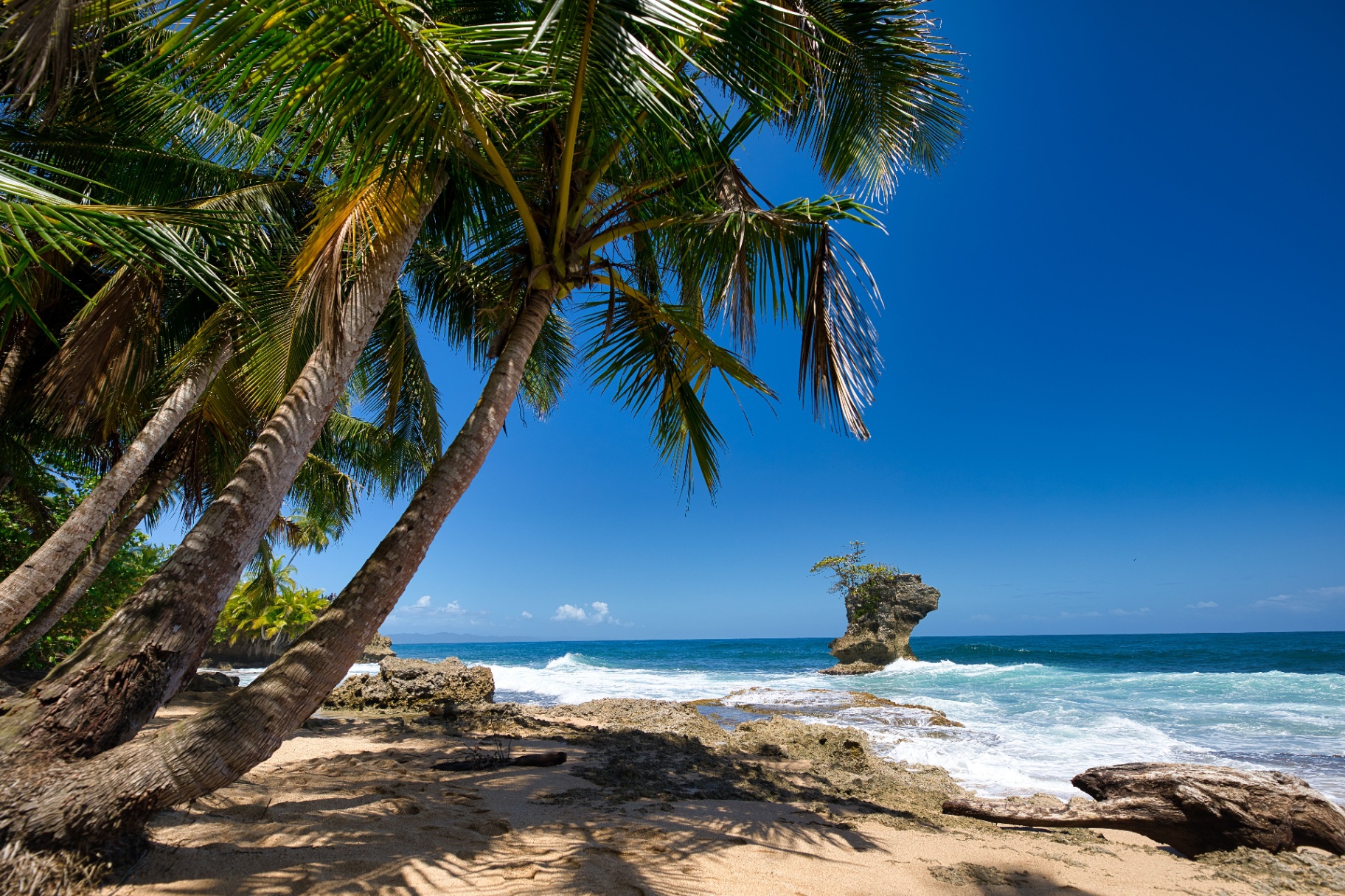 The living world of Costa Rica — 2