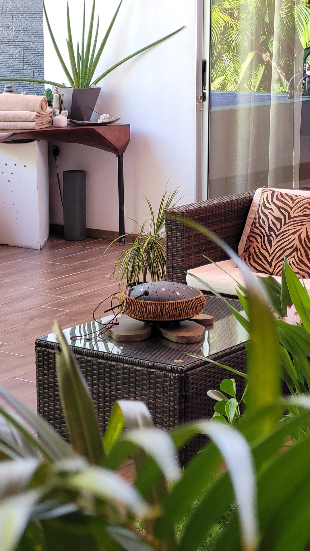 Your home in Costa Rica — 10
