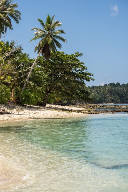 The living world of Costa Rica — 1